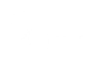 logo blanc d'Artisan Waeldo