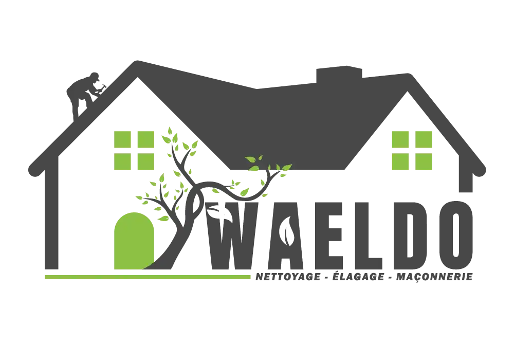 logo d'Artisan Waeldo en couleur