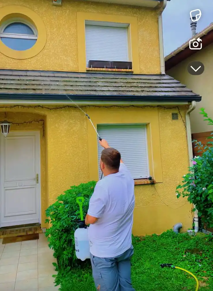 Artisan en train de traiter une toiture contre les champignons