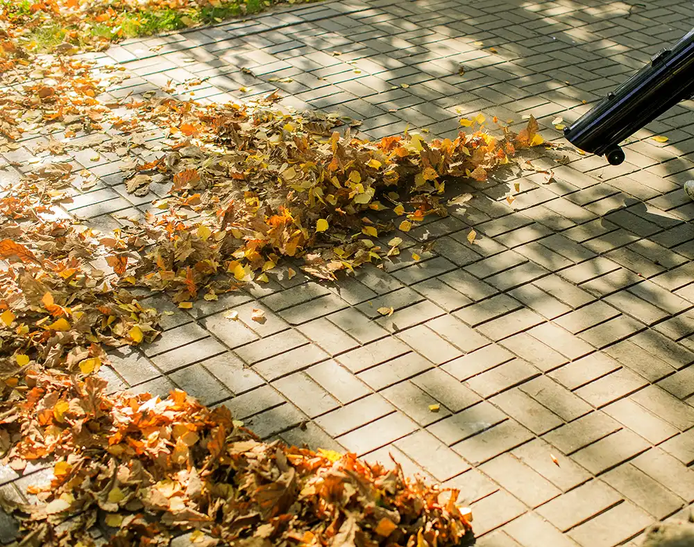 Nettoyage d'une allée de jardin